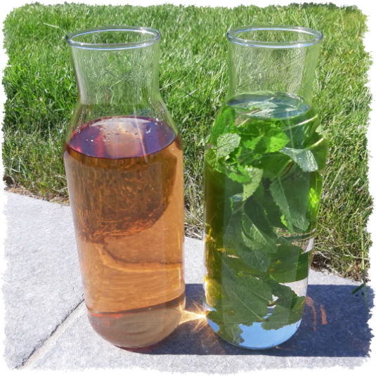 Summer Vibes Ice Tea Summer Vibes Ice Tea